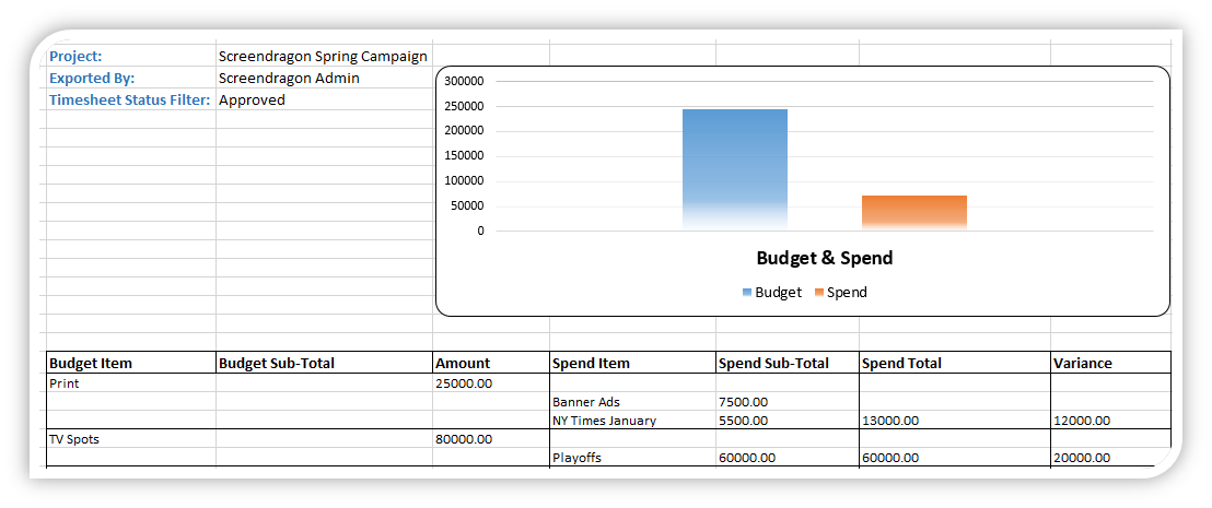 Screendragon Budget Report